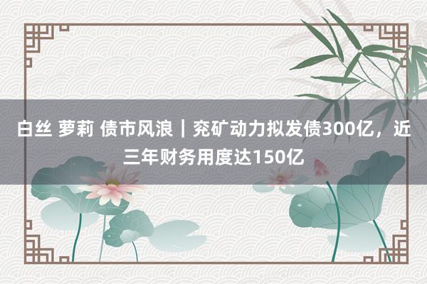 白丝 萝莉 债市风浪｜兖矿动力拟发债300亿，近三年财务用度达150亿