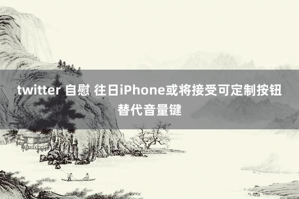 twitter 自慰 往日iPhone或将接受可定制按钮替代音量键