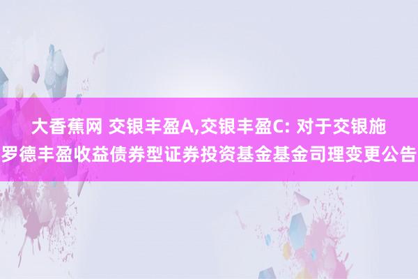 大香蕉网 交银丰盈A，交银丰盈C: 对于交银施罗德丰盈收益债券型证券投资基金基金司理变更公告