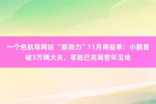 一个色航导网站 “新势力”11月得益单：小鹏首破3万辆大关，零跑已完周密年见地