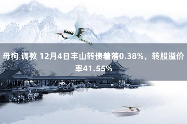 母狗 调教 12月4日丰山转债着落0.38%，转股溢价率41.55%