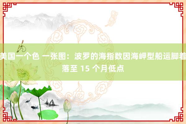 美国一个色 一张图：波罗的海指数因海岬型船运脚着落至 15 个月低点