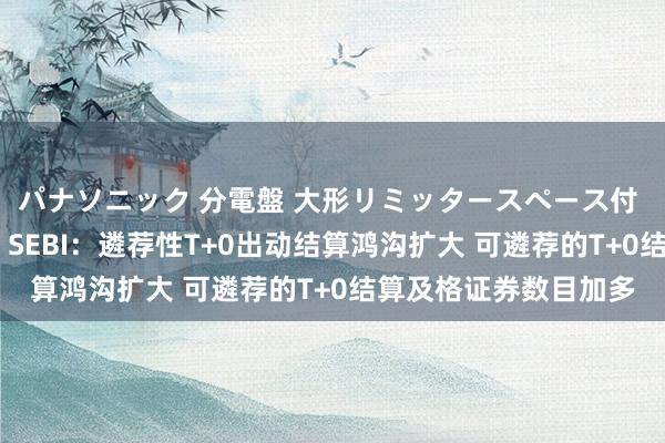 パナソニック 分電盤 大形リミッタースペース付 露出・半埋込両用形 SEBI：遴荐性T+0出动结算鸿沟扩大 可遴荐的T+0结算及格证券数目加多