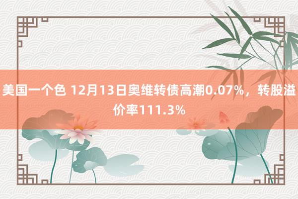 美国一个色 12月13日奥维转债高潮0.07%，转股溢价率111.3%