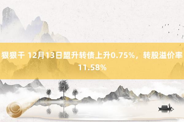 狠狠干 12月13日盟升转债上升0.75%，转股溢价率11.58%