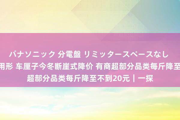 パナソニック 分電盤 リミッタースペースなし 露出・半埋込両用形 车厘子今冬断崖式降价 有商超部分品类每斤降至不到20元｜一探