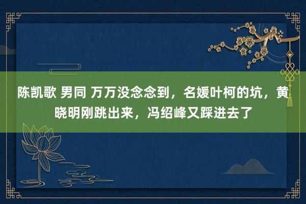 陈凯歌 男同 万万没念念到，名媛叶柯的坑，黄晓明刚跳出来，冯绍峰又踩进去了