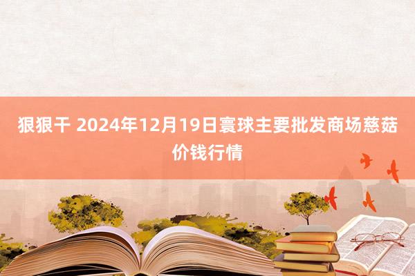 狠狠干 2024年12月19日寰球主要批发商场慈菇价钱行情