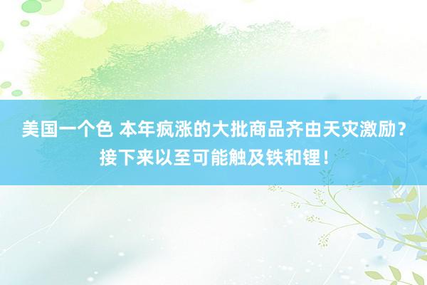 美国一个色 本年疯涨的大批商品齐由天灾激励？接下来以至可能触及铁和锂！