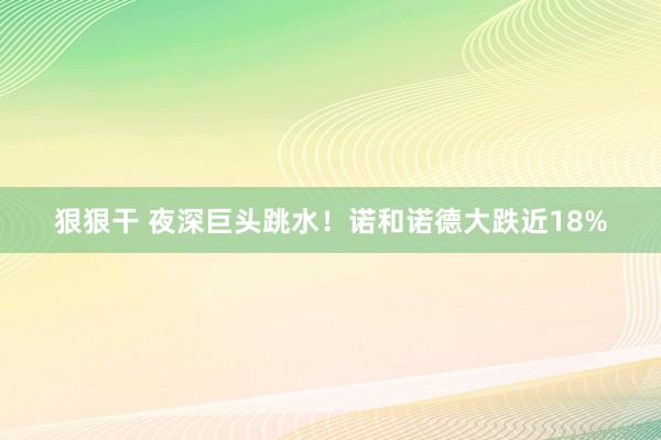 狠狠干 夜深巨头跳水！诺和诺德大跌近18%