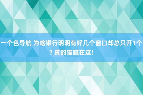 一个色导航 为啥银行明明有好几个窗口却总只开1个? 真的猫腻在这!