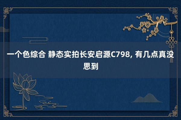 一个色综合 静态实拍长安启源C798， 有几点真没思到