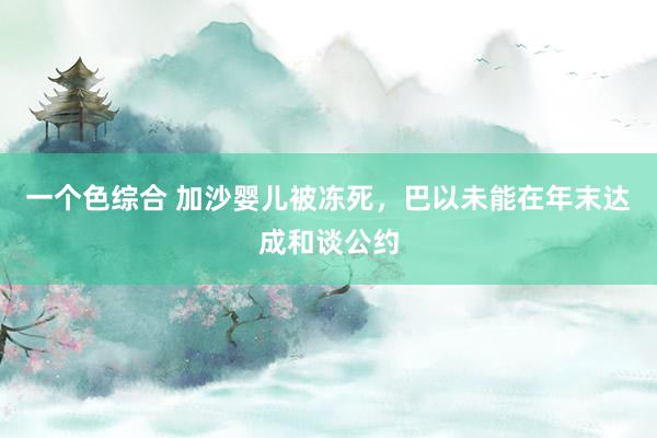 一个色综合 加沙婴儿被冻死，巴以未能在年末达成和谈公约