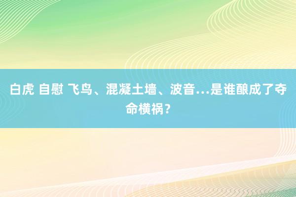 白虎 自慰 飞鸟、混凝土墙、波音…是谁酿成了夺命横祸？