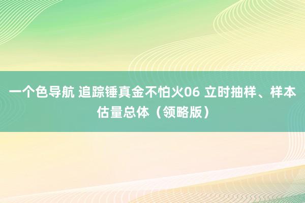 一个色导航 追踪锤真金不怕火06 立时抽样、样本估量总体（领略版）