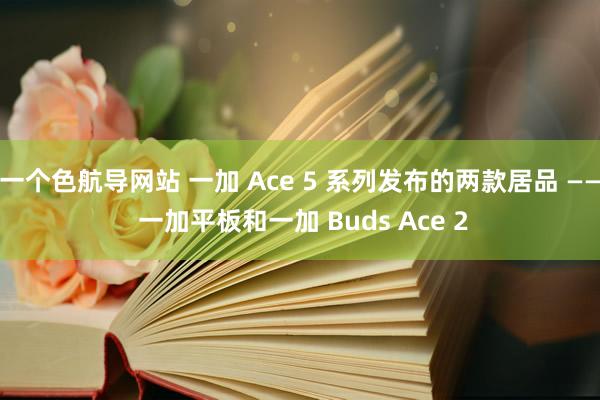 一个色航导网站 一加 Ace 5 系列发布的两款居品 —— 一加平板和一加 Buds Ace 2