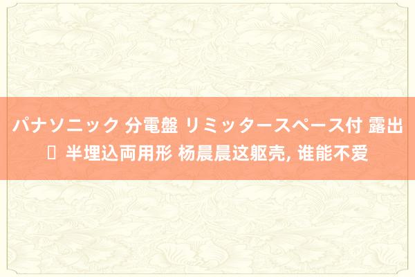 パナソニック 分電盤 リミッタースペース付 露出・半埋込両用形 杨晨晨这躯壳， 谁能不爱