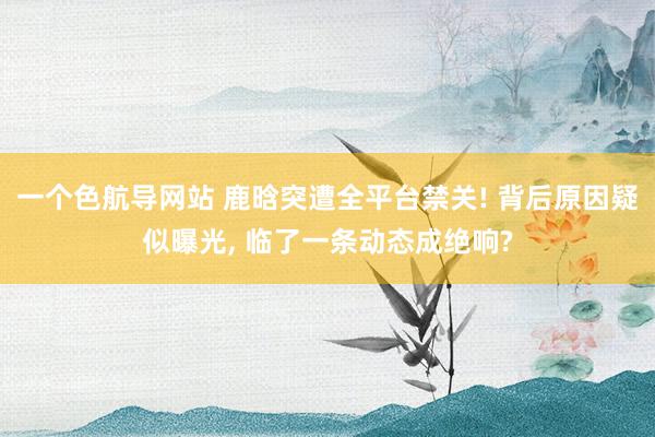 一个色航导网站 鹿晗突遭全平台禁关! 背后原因疑似曝光， 临了一条动态成绝响?