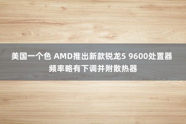 美国一个色 AMD推出新款锐龙5 9600处置器 频率略有下调并附散热器