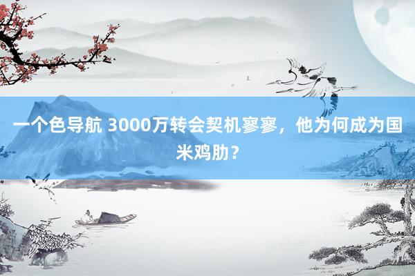 一个色导航 3000万转会契机寥寥，他为何成为国米鸡肋？