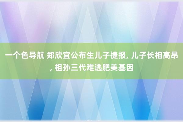 一个色导航 郑欣宜公布生儿子捷报， 儿子长相高昂， 祖孙三代难逃肥美基因