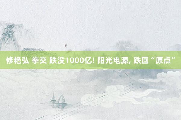 修艳弘 拳交 跌没1000亿! 阳光电源， 跌回“原点”