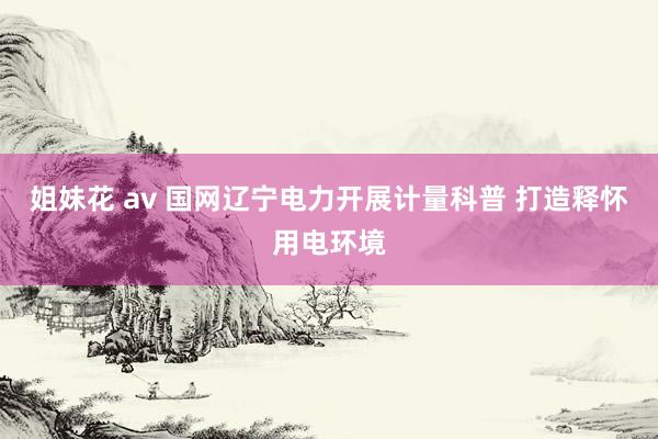 姐妹花 av 国网辽宁电力开展计量科普 打造释怀用电环境