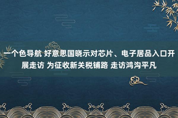 一个色导航 好意思国晓示对芯片、电子居品入口开展走访 为征收新关税铺路 走访鸿沟平凡